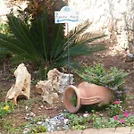 Delle Meraviglie