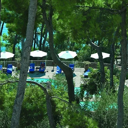 Delle Meraviglie