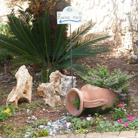Delle Meraviglie